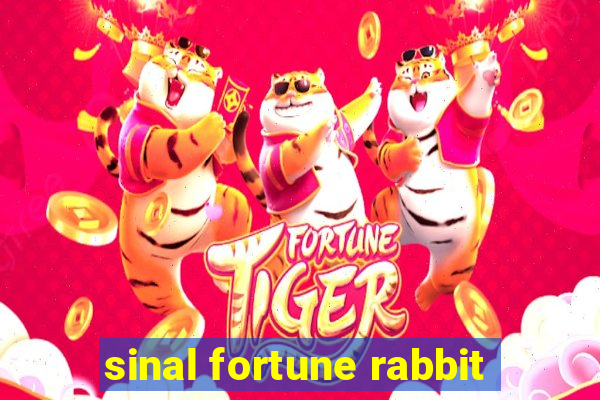 sinal fortune rabbit